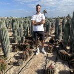 Kardón obrovský (Pachycereus pringlei) - výška 100-120 cm, kont.C40L (-4°C) - STARÝ A VZÁCNY EXEMPLÁR